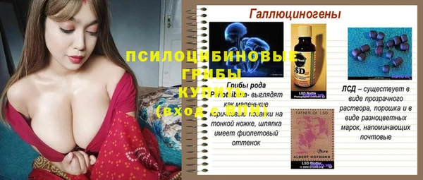 СК Куйбышев