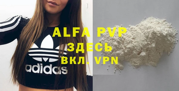гидра Братск