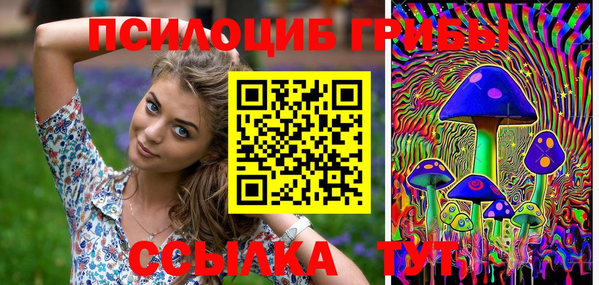Галлюциногенные грибы Psilocybine cubensis  Вход с VPN  Старый Оскол 
