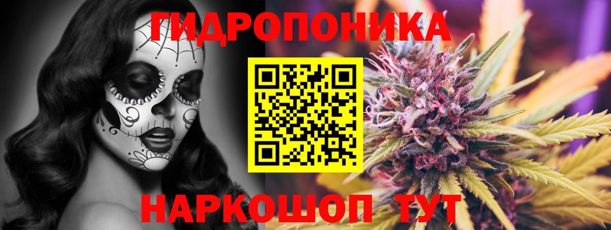 Старый Оскол  МАРИХУАНА сатива  Бошки марихуана Bruce Banner  Канабис конопля  Вход с VPN 